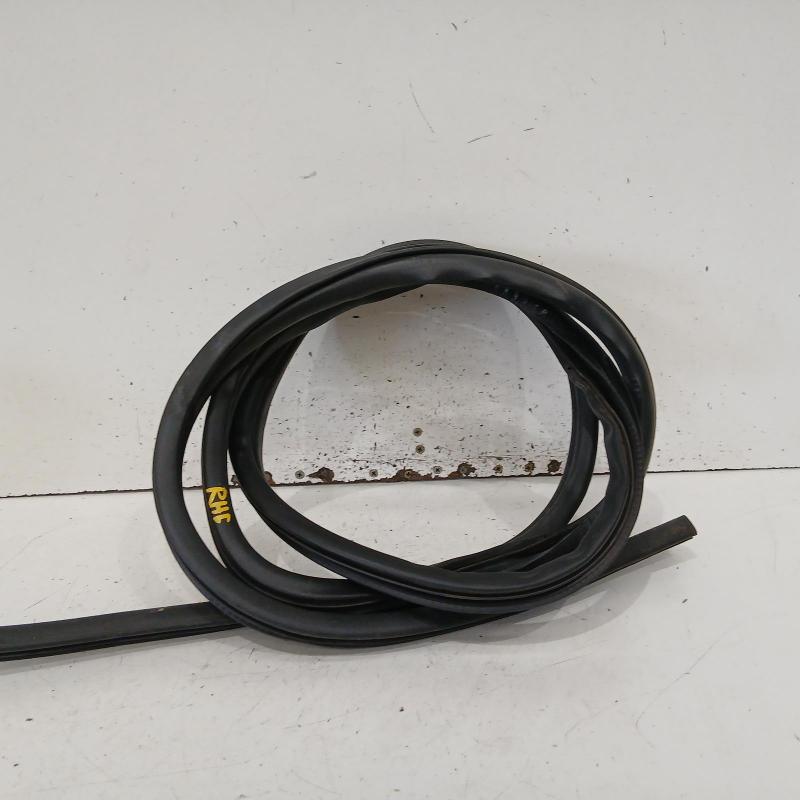 body seal ruber