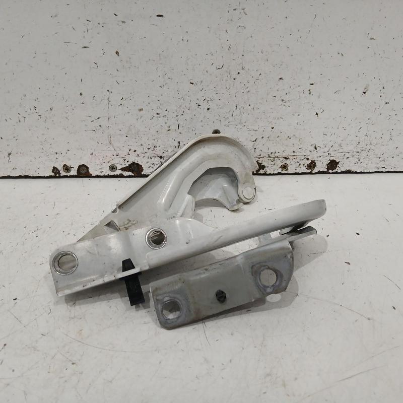 bonnet hinge/strut