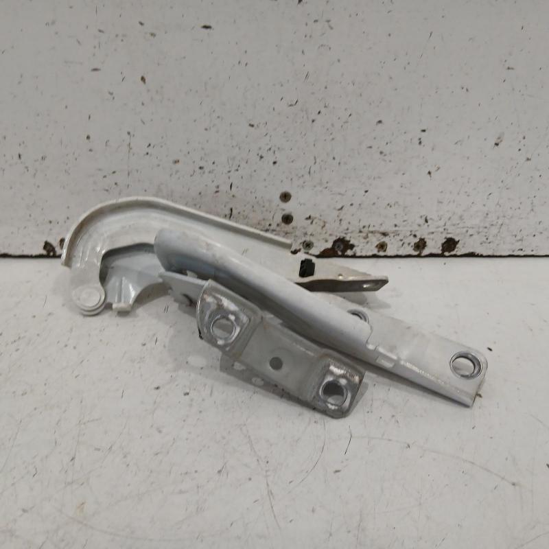 bonnet hinge/strut