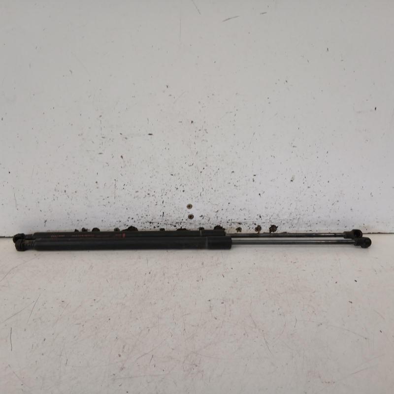 hatch strut