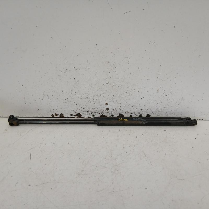 hatch strut