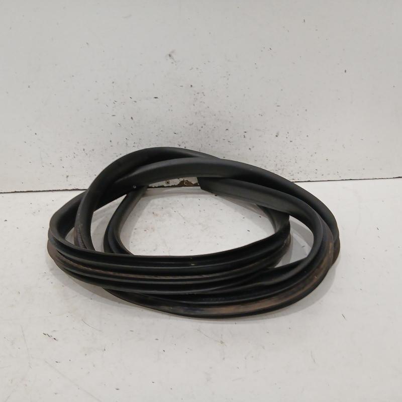 body seal ruber