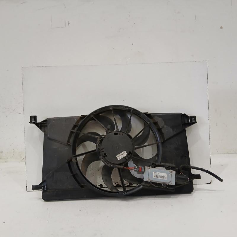 fan