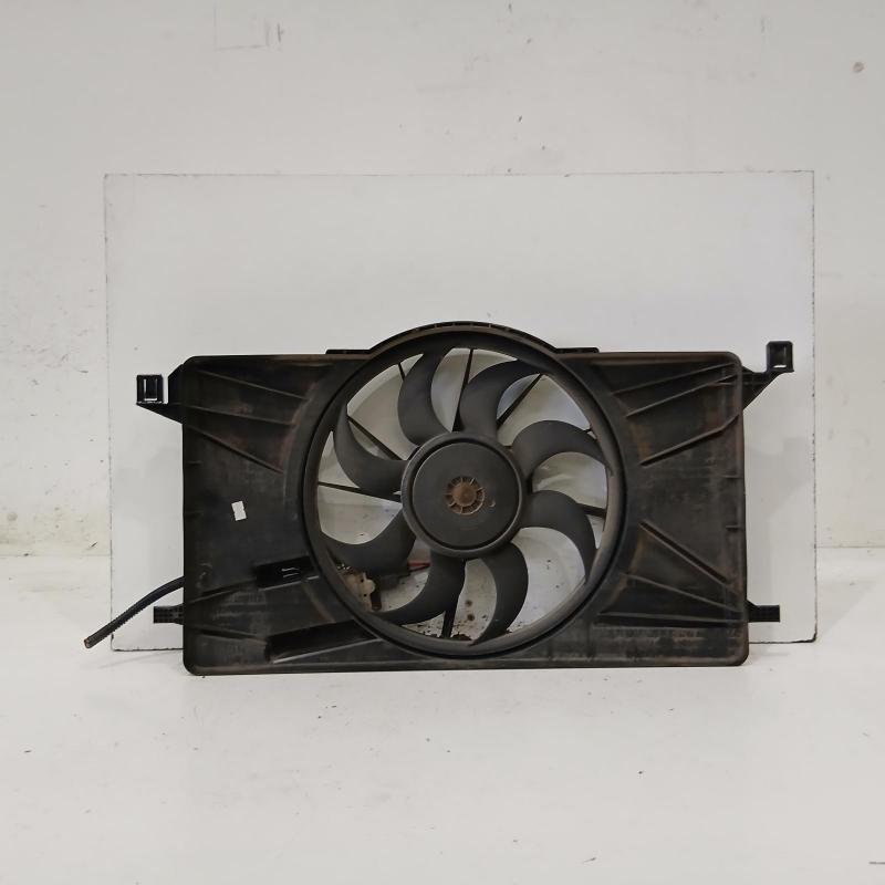 fan