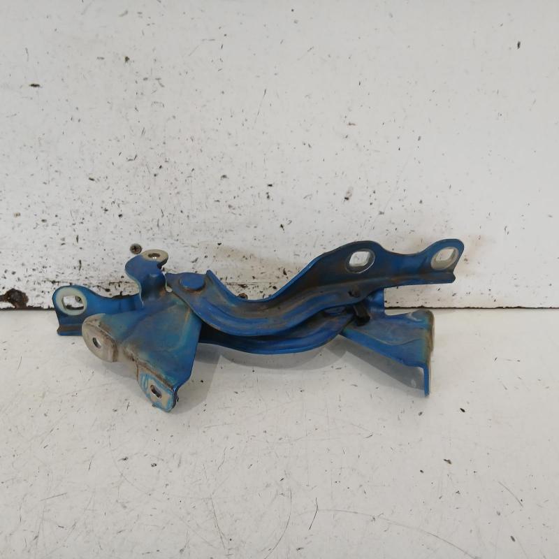 bonnet hinge/strut