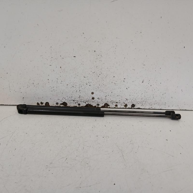 hatch strut