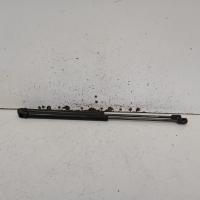 hatch strut