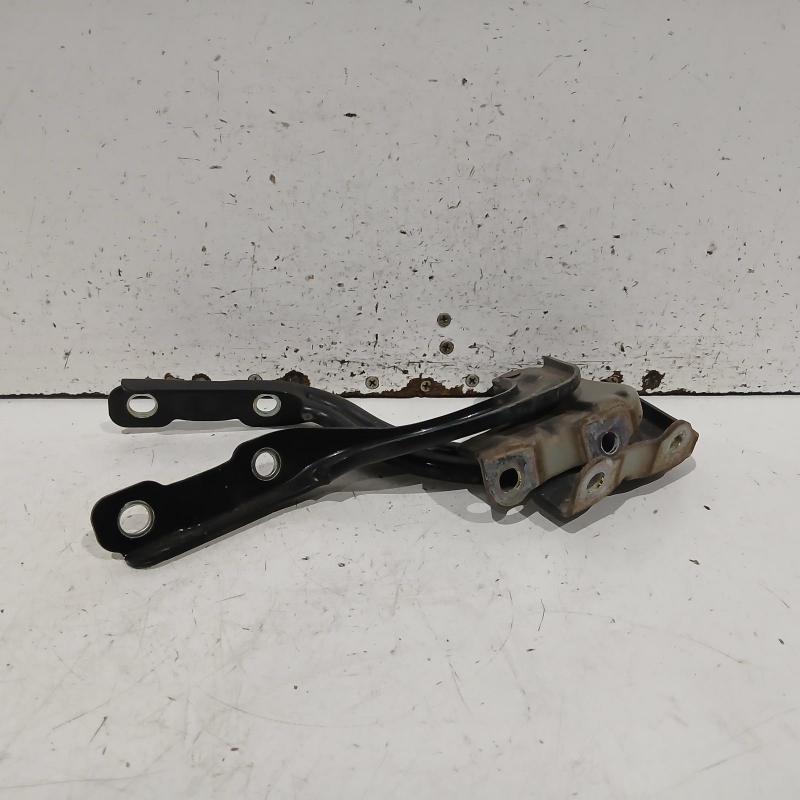 bonnet hinge/strut