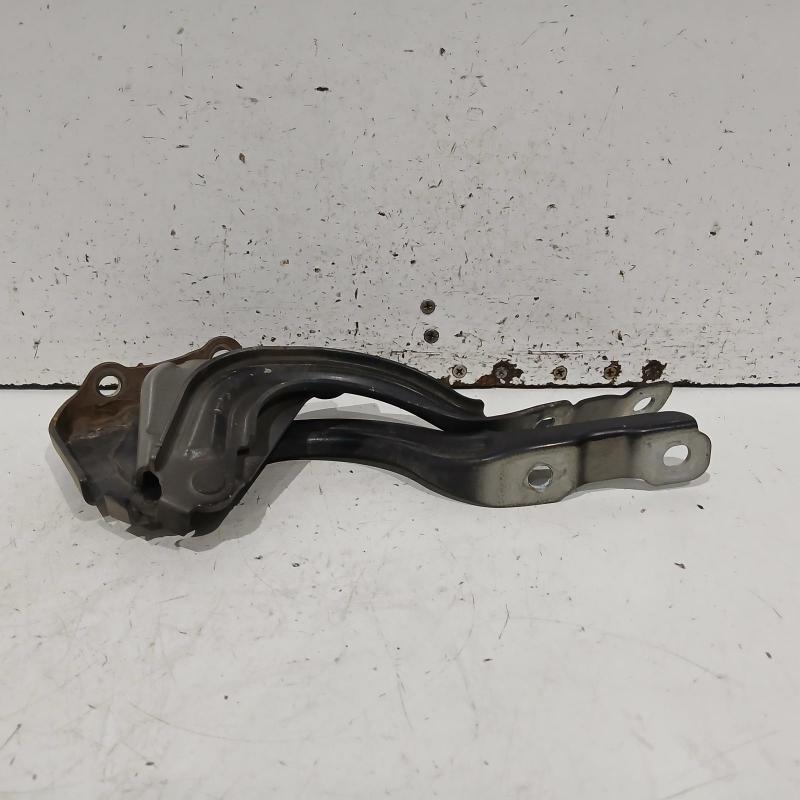 bonnet hinge/strut