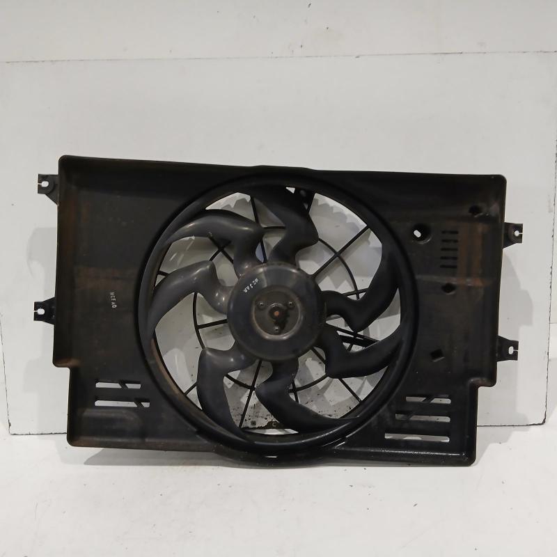 fan