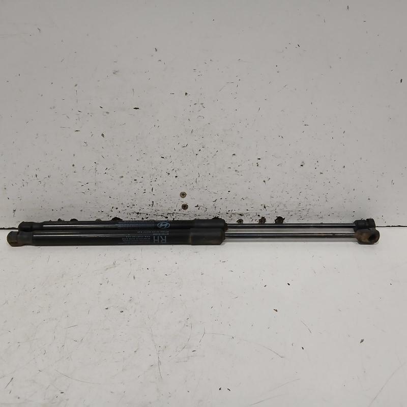 hatch strut