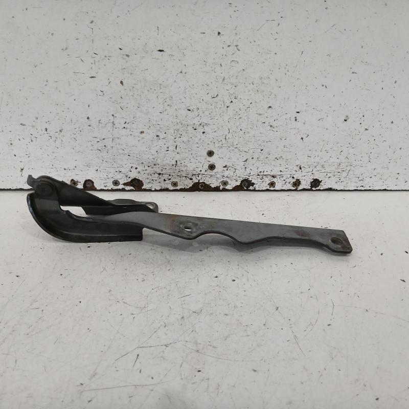 bonnet hinge/strut