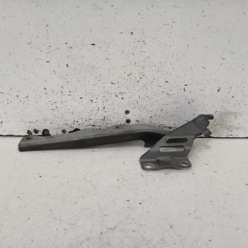bonnet hinge/strut