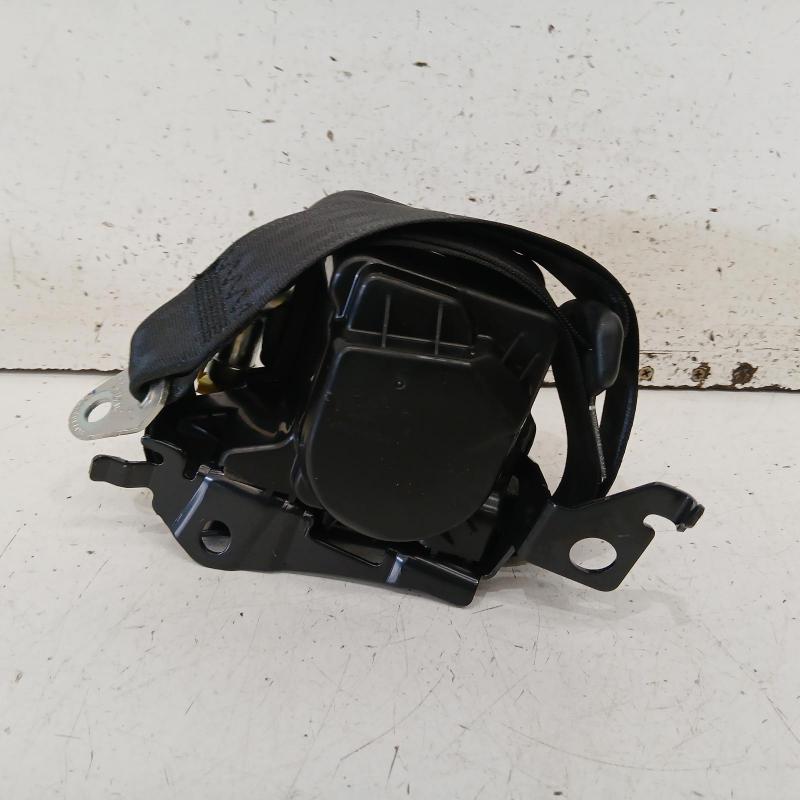 seat belt stalk