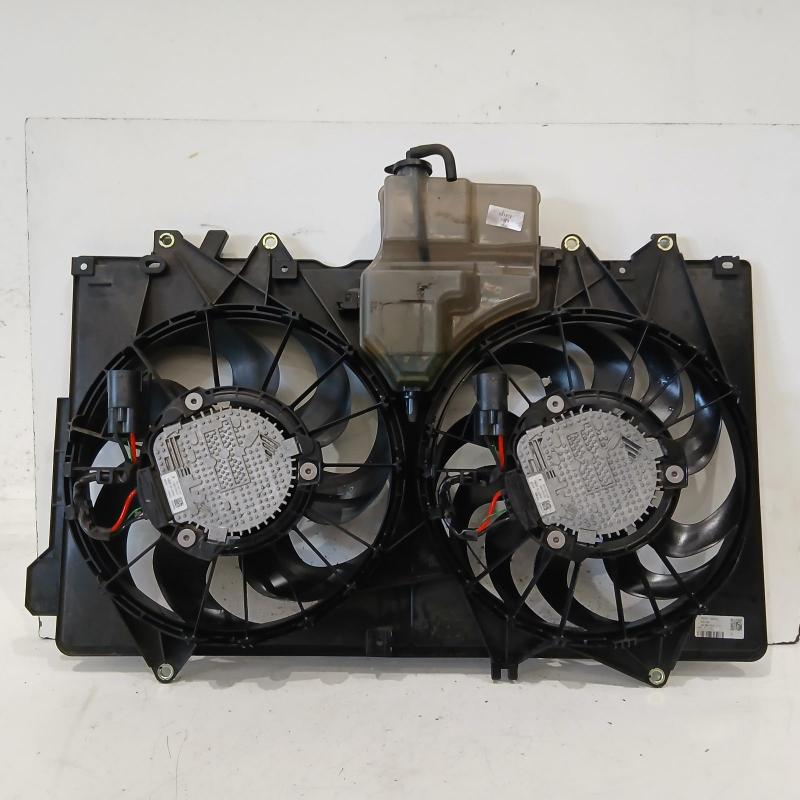 fan