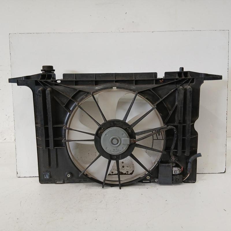 fan