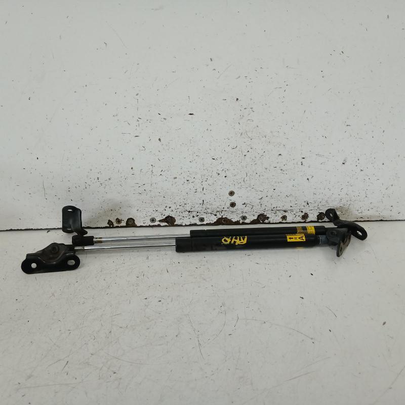 hatch strut