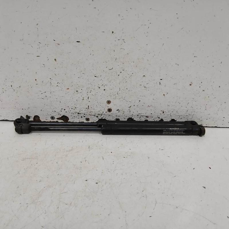 bonnet hinge/strut