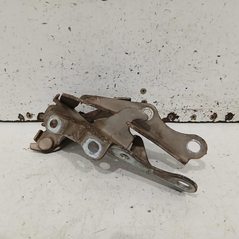 bonnet hinge/strut