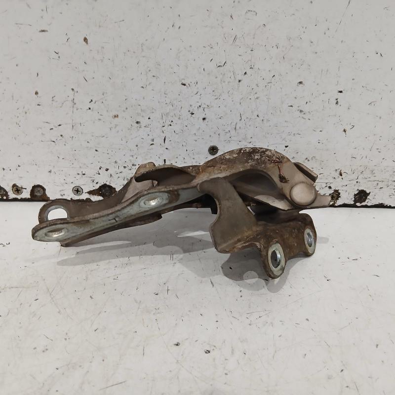 bonnet hinge/strut