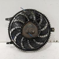 fan