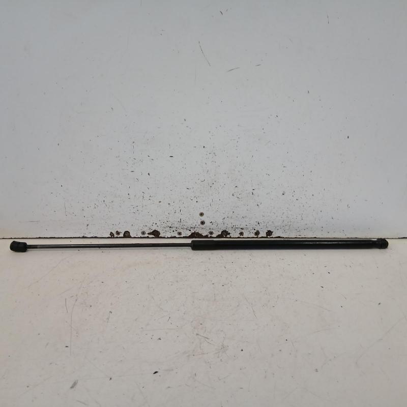 bonnet hinge/strut