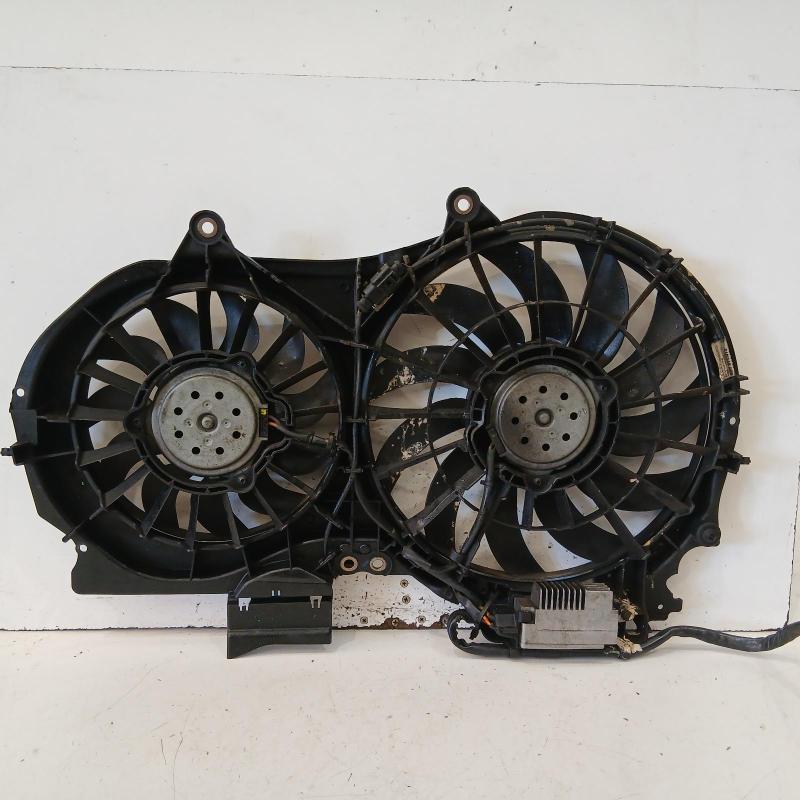 fan