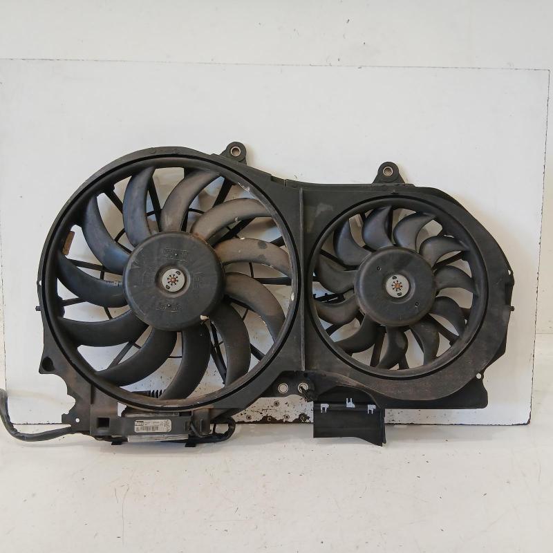 fan