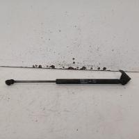 bonnet hinge/strut