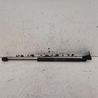 bonnet hinge/strut