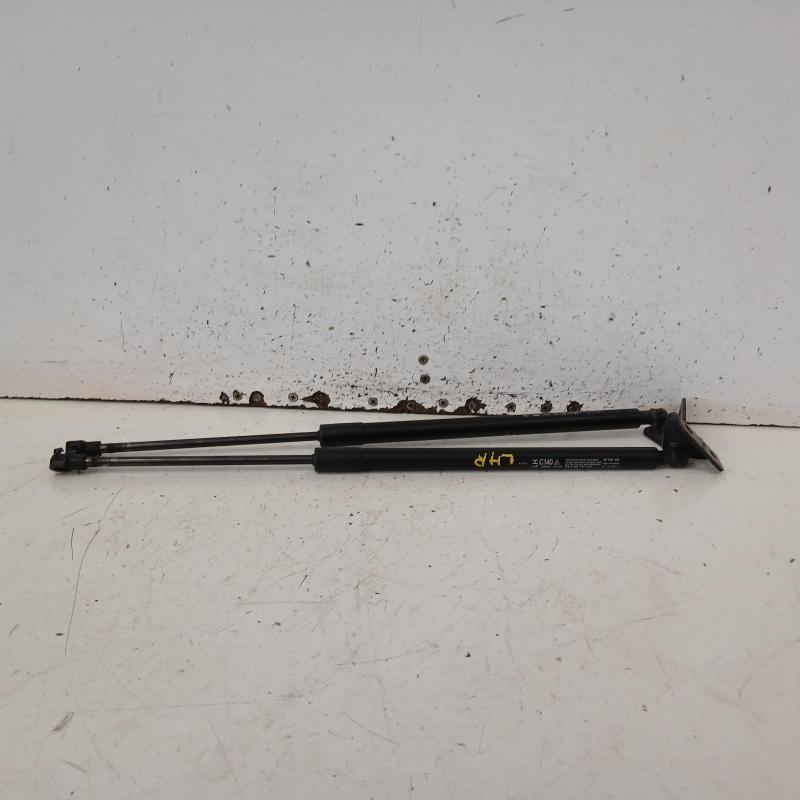 hatch strut
