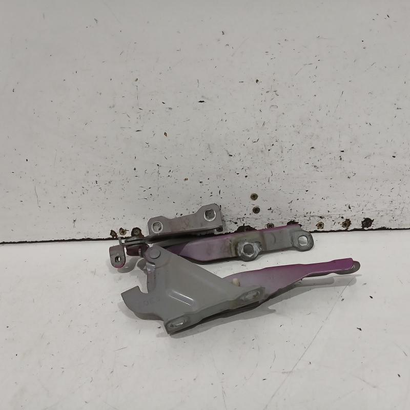 bonnet hinge/strut