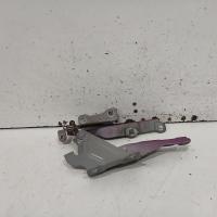 bonnet hinge/strut