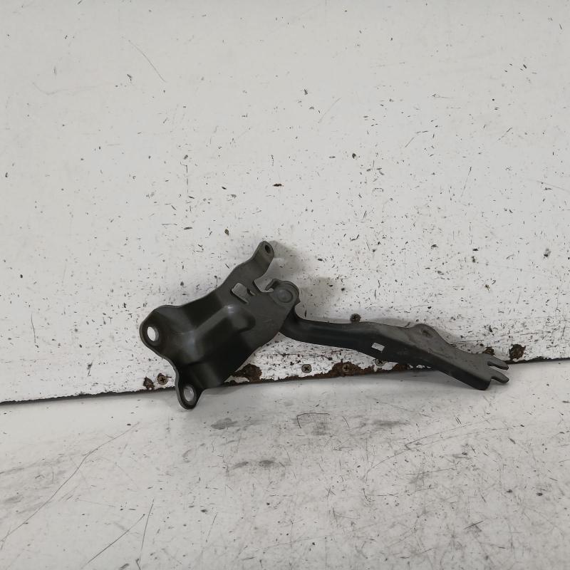 bonnet hinge/strut