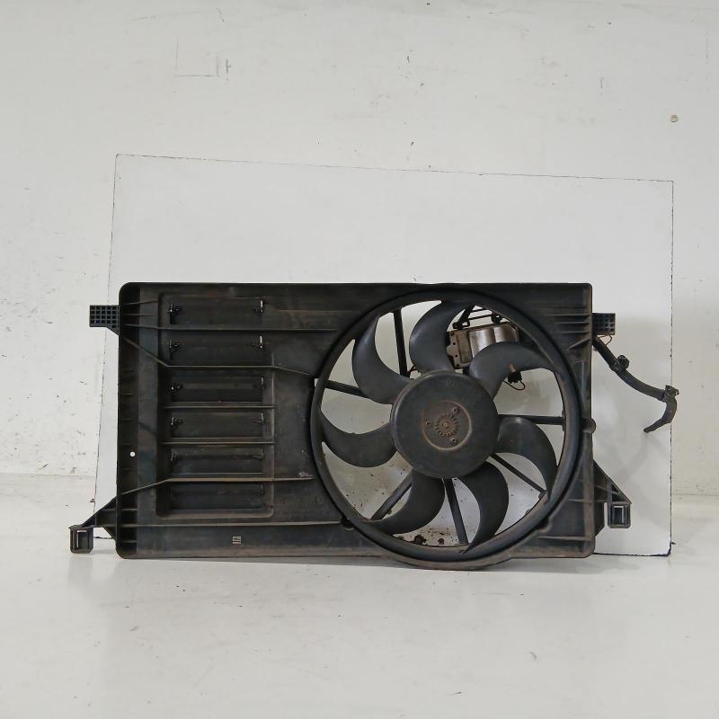 fan