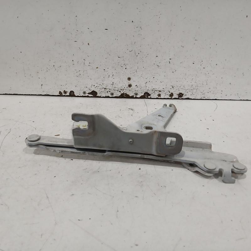 bonnet hinge/strut