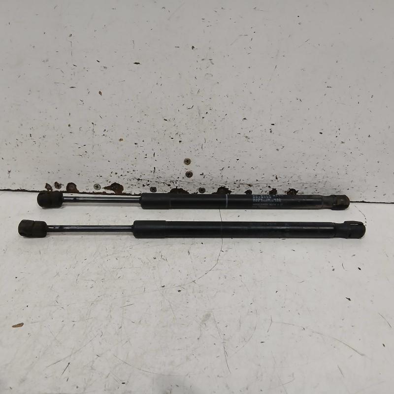 bonnet hinge/strut