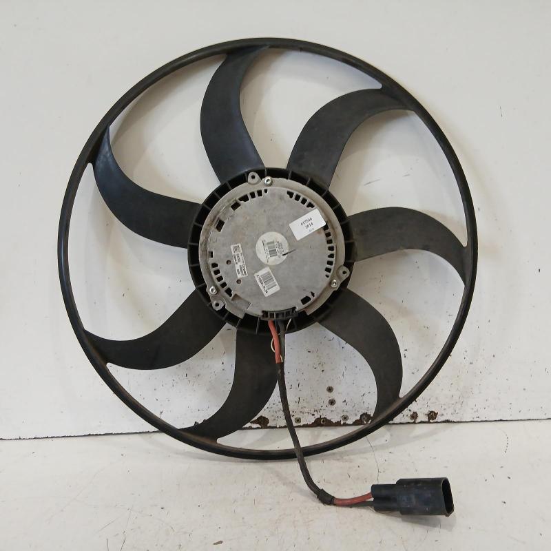 fan