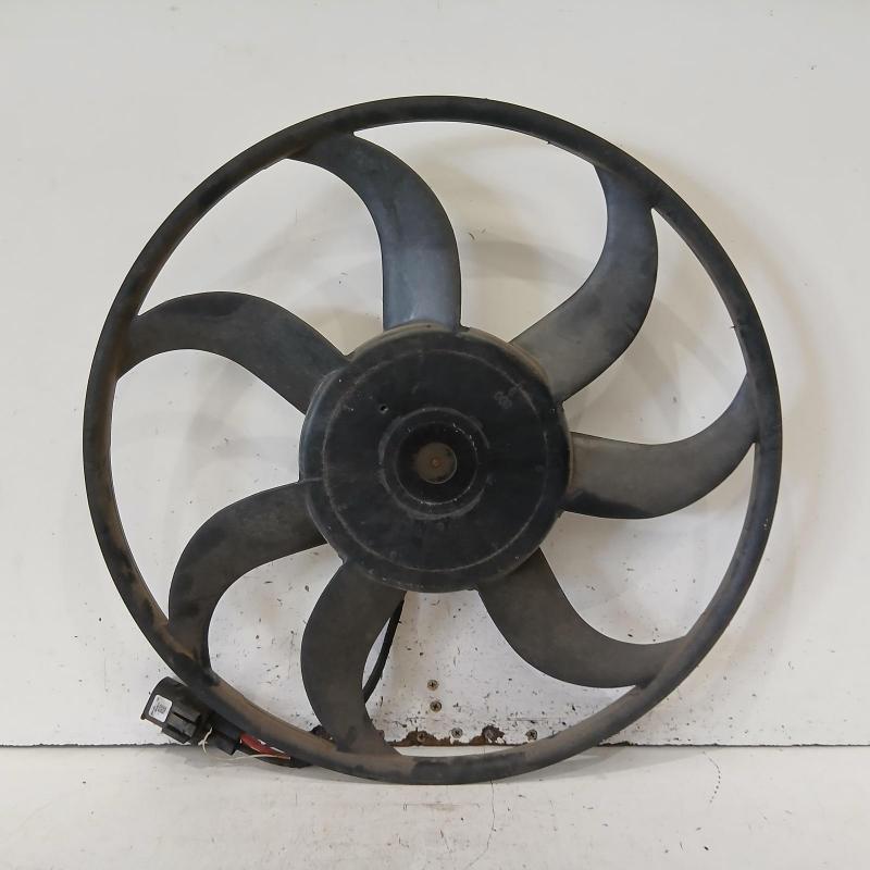 fan