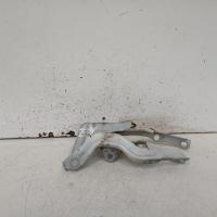 bonnet hinge/strut