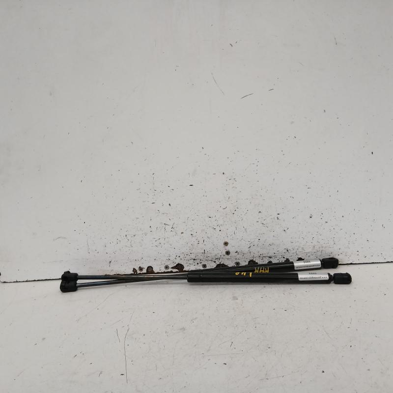hatch strut