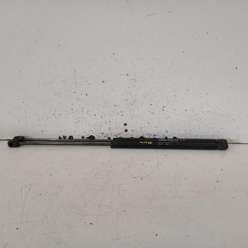 hatch strut
