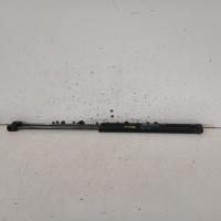 hatch strut