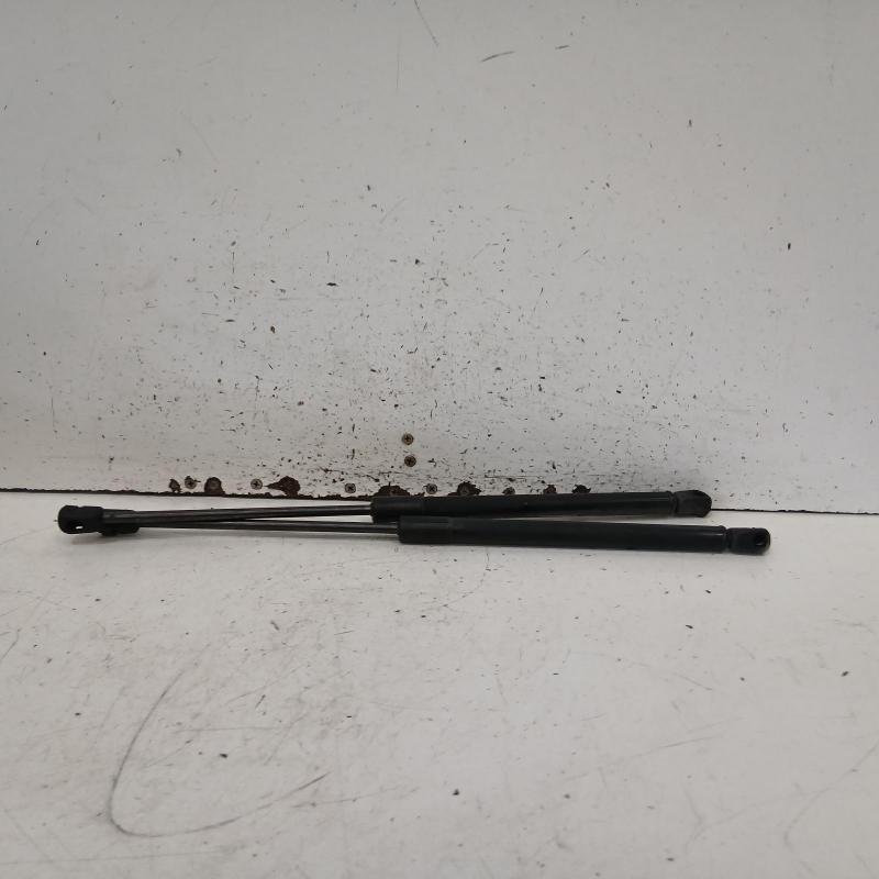 hatch strut