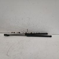 hatch strut