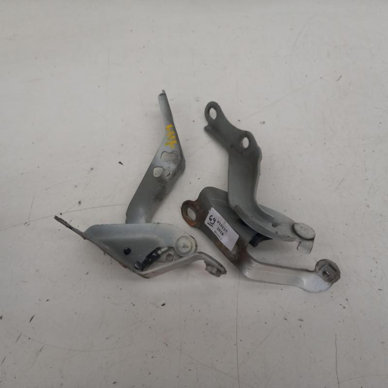 bonnet hinge/strut