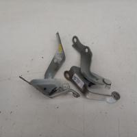 bonnet hinge/strut