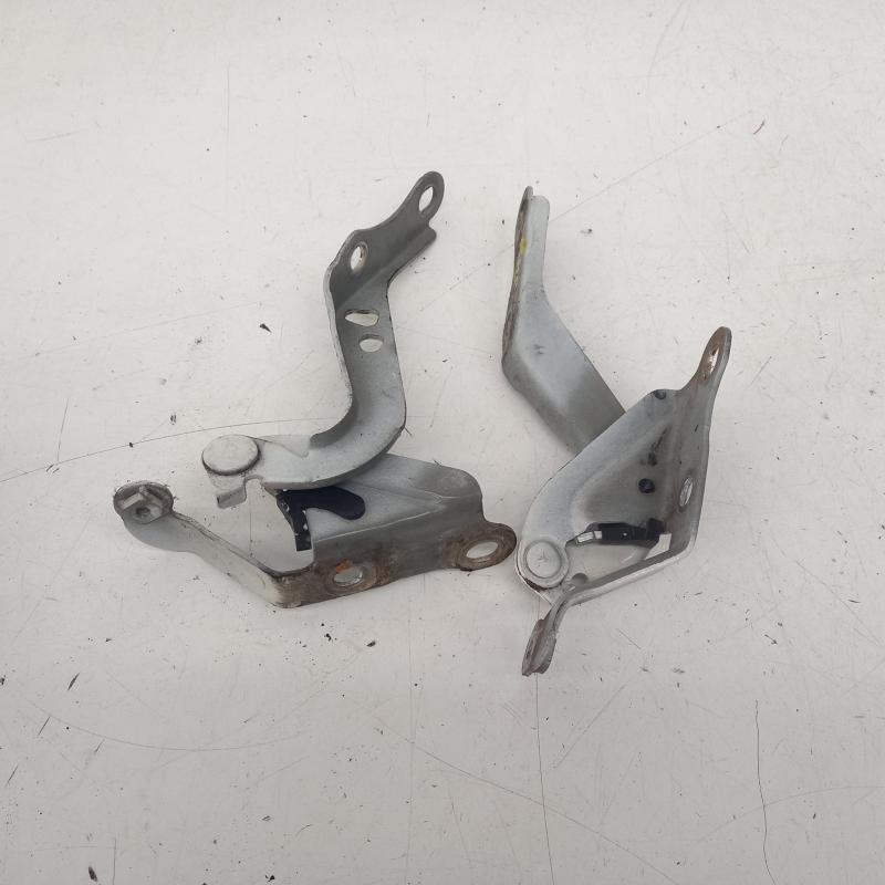 bonnet hinge/strut