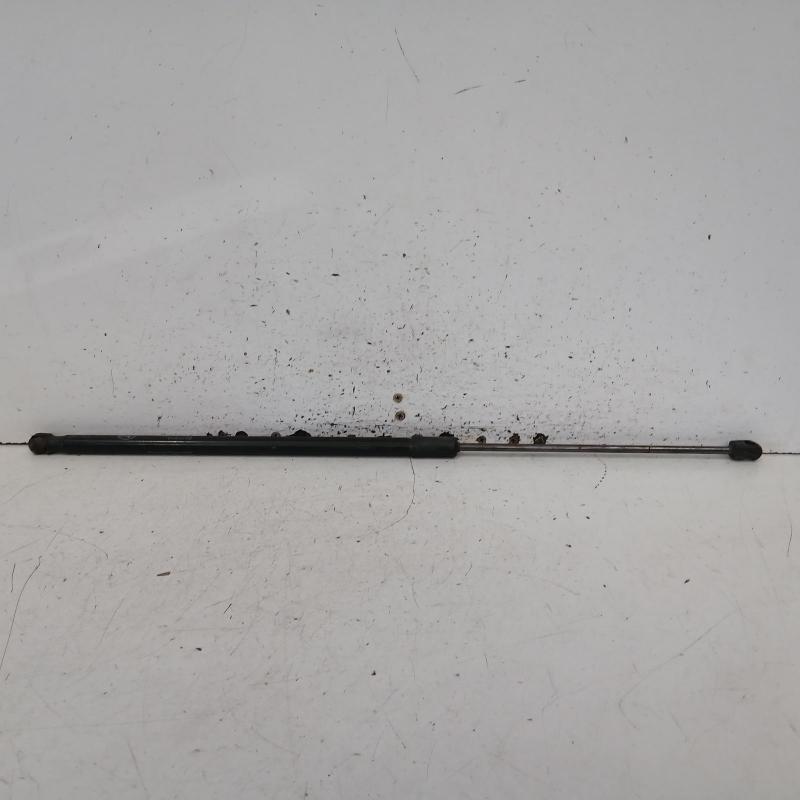 bonnet hinge/strut