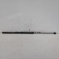 bonnet hinge/strut